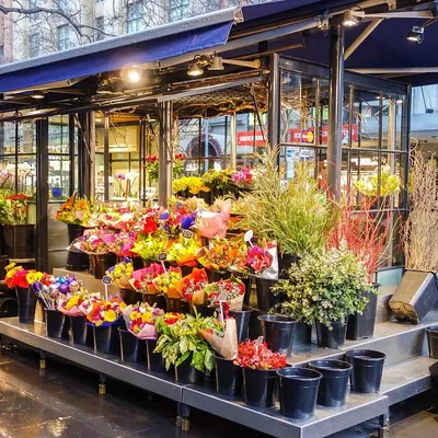 Roy's Florist